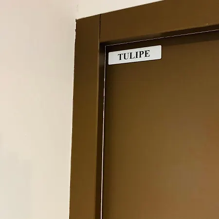 Tulipe Studio Lägenhet *
